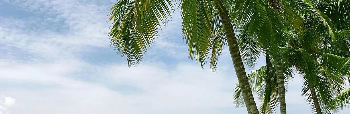Latar belakang kartu promo